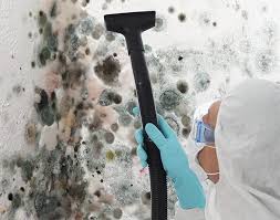 Best Environmental Consulting for Mold Prevention in Pahoa, HI